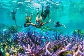 Clear Kayak Zanzibar trip photo 3