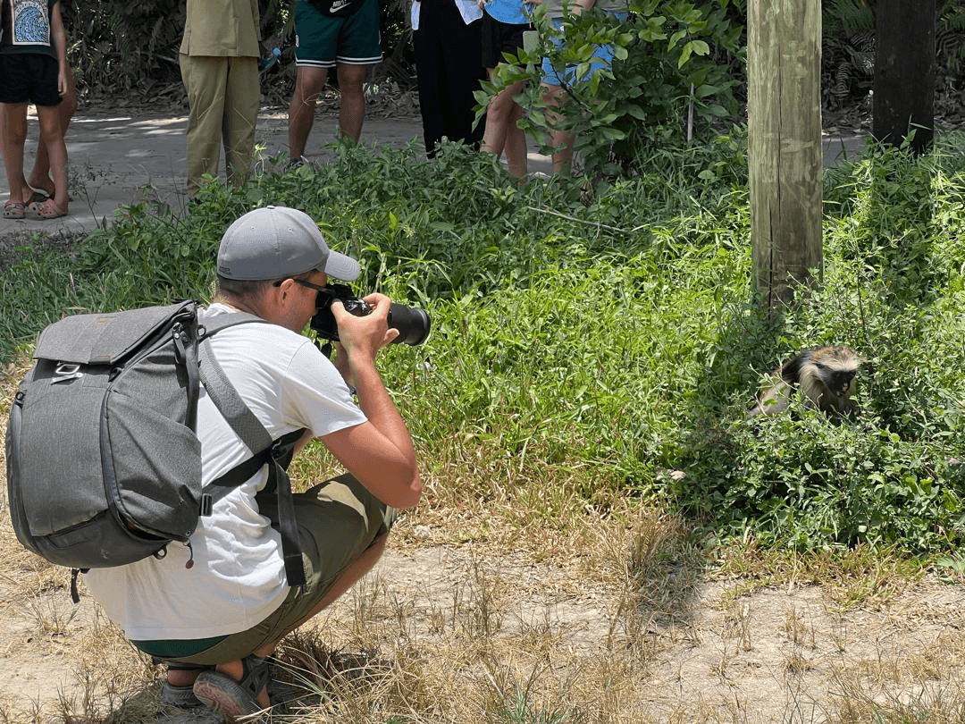 Guest photographing a red colobus monkey in Jozani Forest Zanzibar