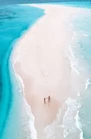 Nakupenda Sandbank Zanzibar trip photo 1