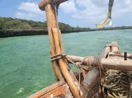 Nakupenda Sandbank Zanzibar trip photo 2
