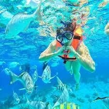 Nakupenda Sandbank Zanzibar trip photo 3