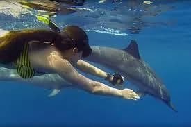 Mnemba Island Snorkeling Zanzibar trip photo 2