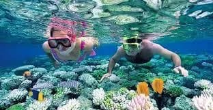 Mnemba Island Snorkeling Zanzibar trip photo 3