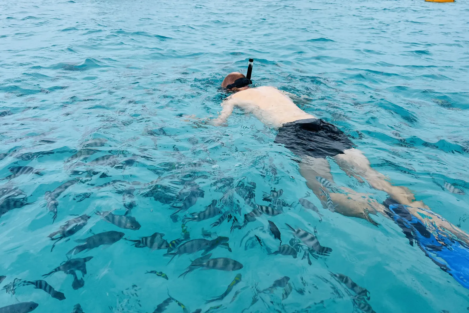 Blue Lagoon Tour Zanzibar trip photo 5