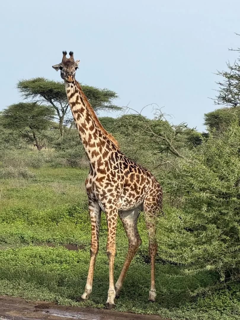 Selous/Nyerere Day Safari Zanzibar trip photo 1