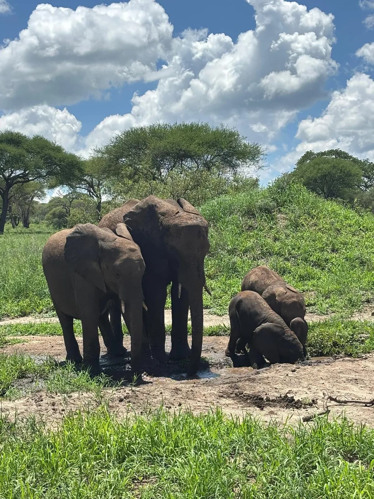 Selous/Nyerere Day Safari Zanzibar trip photo 2