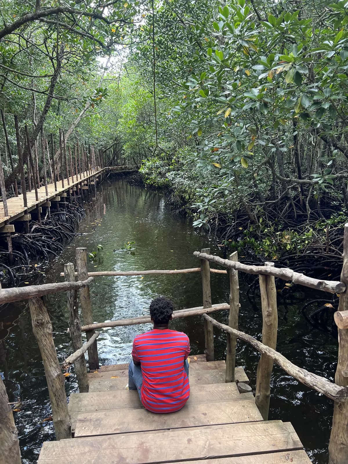 Jozani Forest Zanzibar trip photo 1
