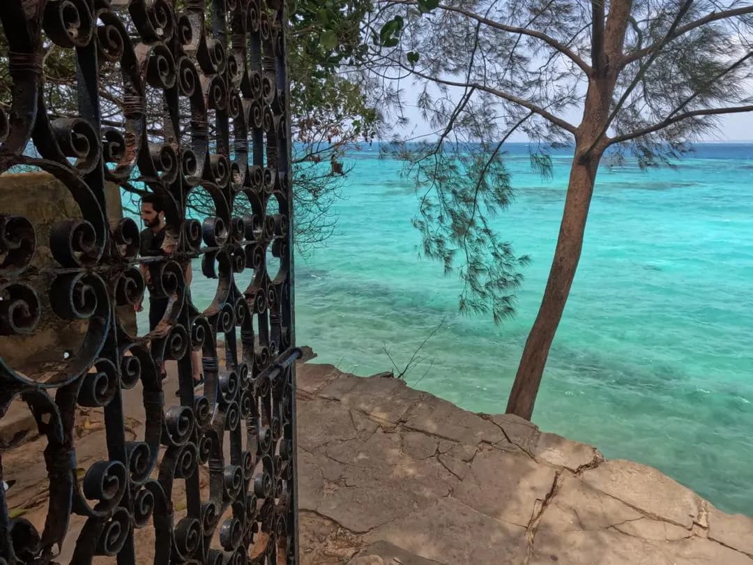 Prison Island Zanzibar trip photo 3