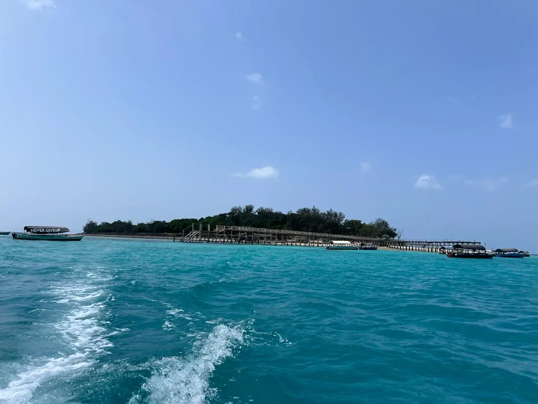 Prison Island Zanzibar trip photo 6