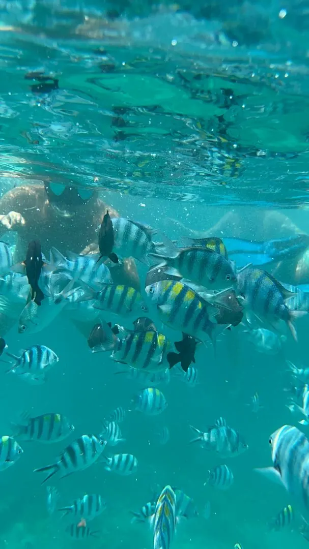 Safari Blue Zanzibar trip photo 2