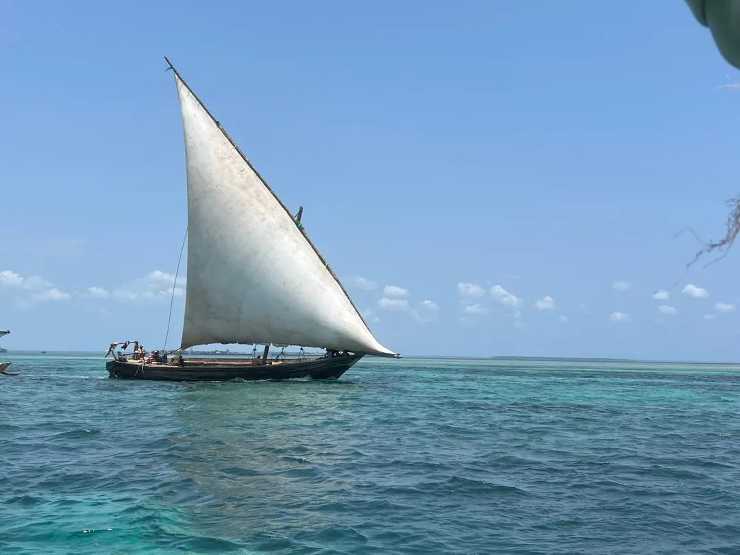 Safari Blue Zanzibar trip photo 5