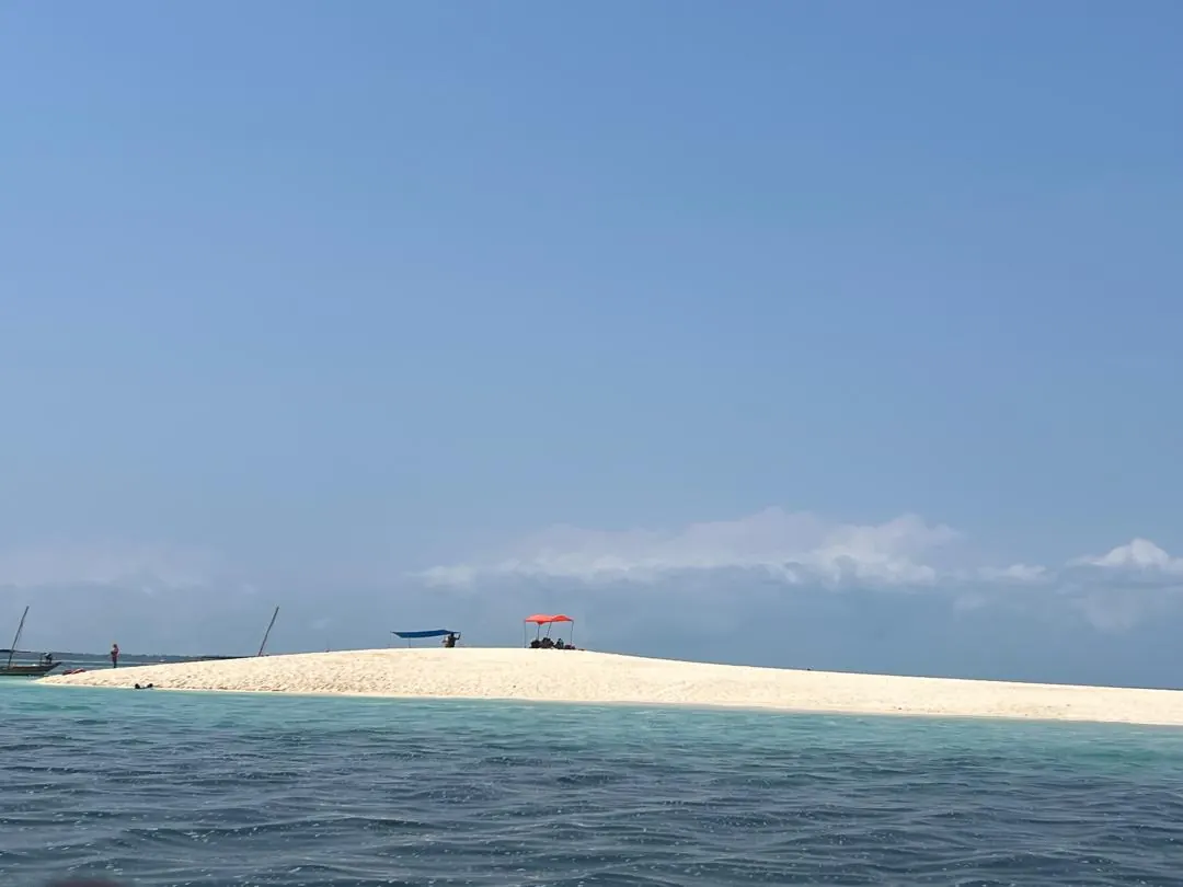 Safari Blue Zanzibar trip photo 6