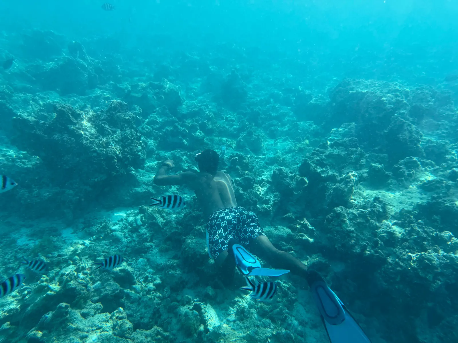 Mnemba Island Snorkeling Zanzibar trip photo 2