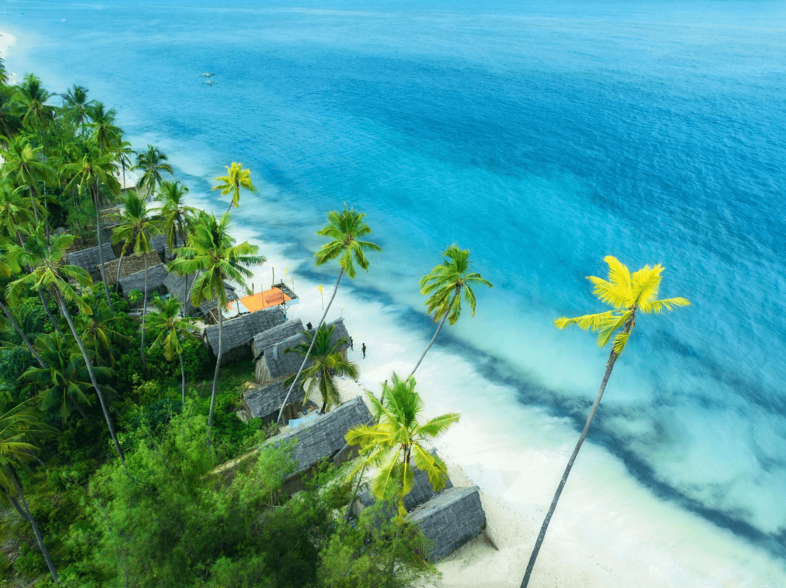 Aerial Zanzibar coast and turquoise water
