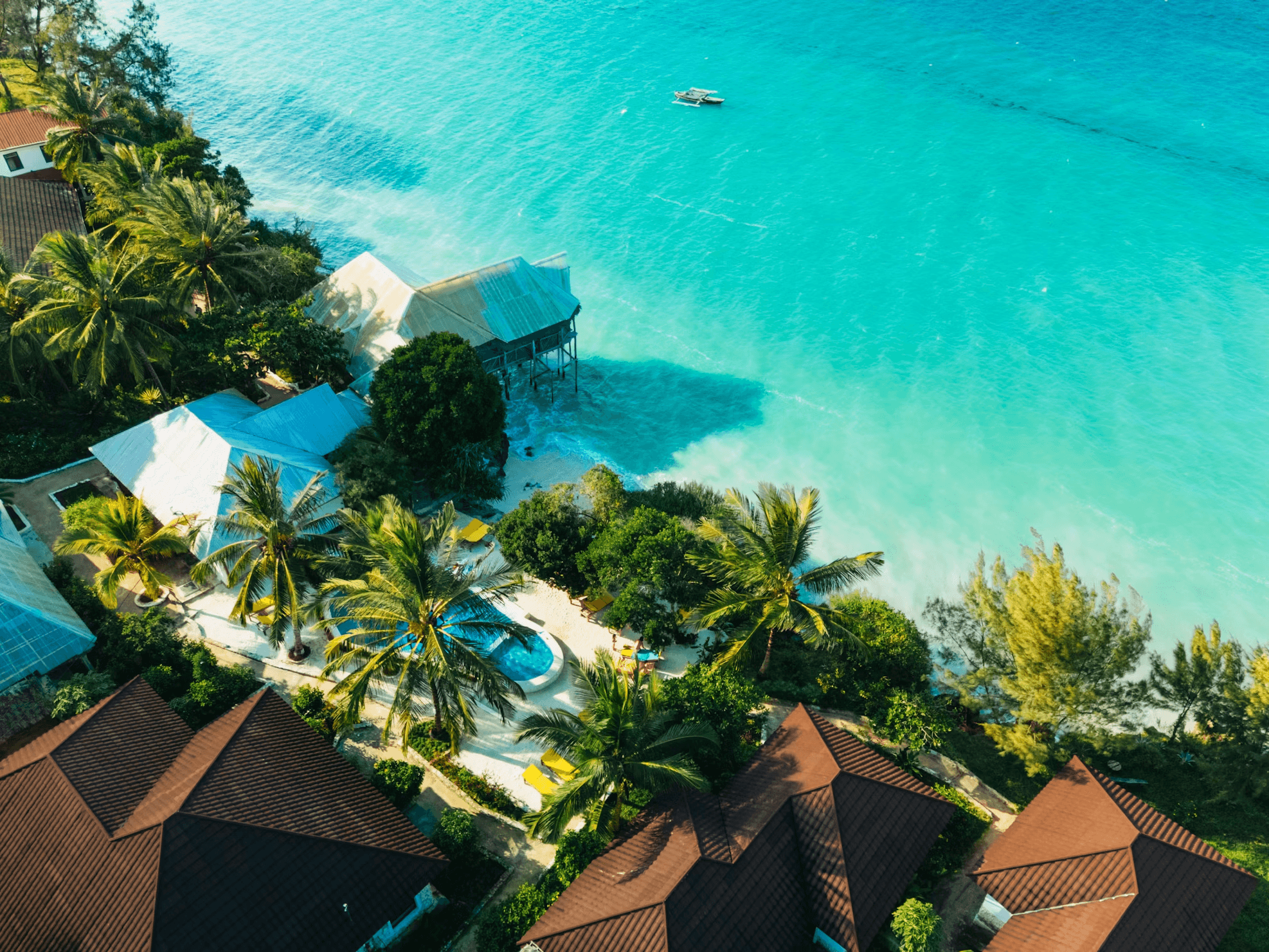 Bright aerial Zanzibar beach and palms used for partner activity supply